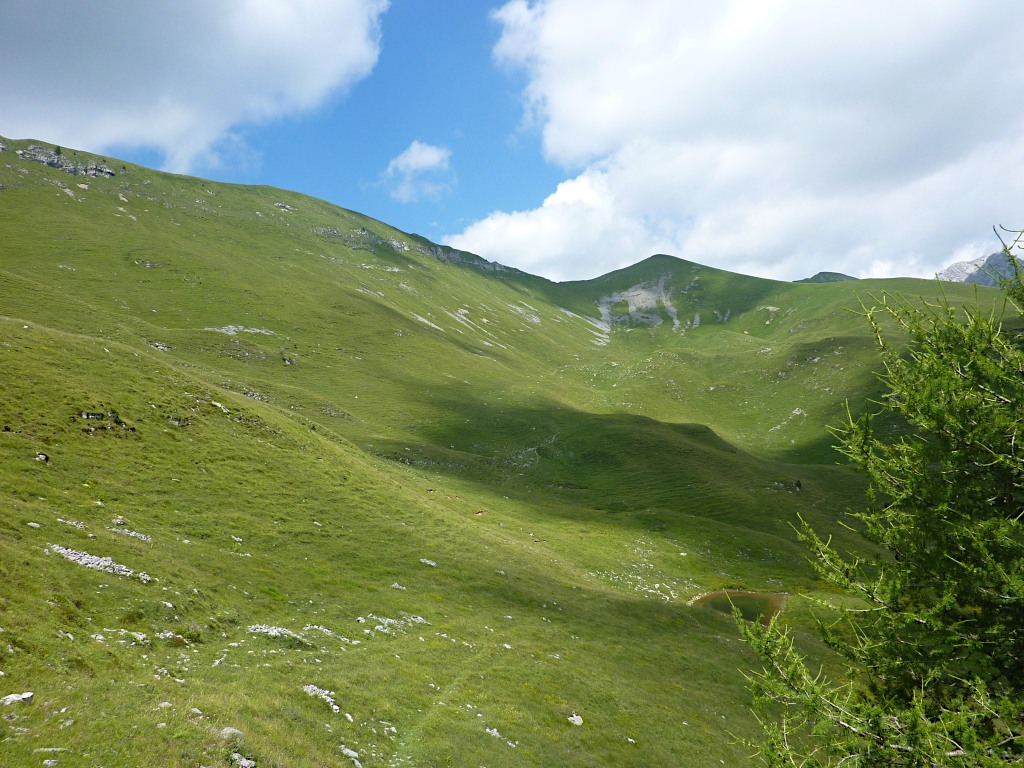 Poco sopra il 314C (200m a dx di quella pozza vi è b.ta alta Rigada): ecco lassù il p.so degli Omini