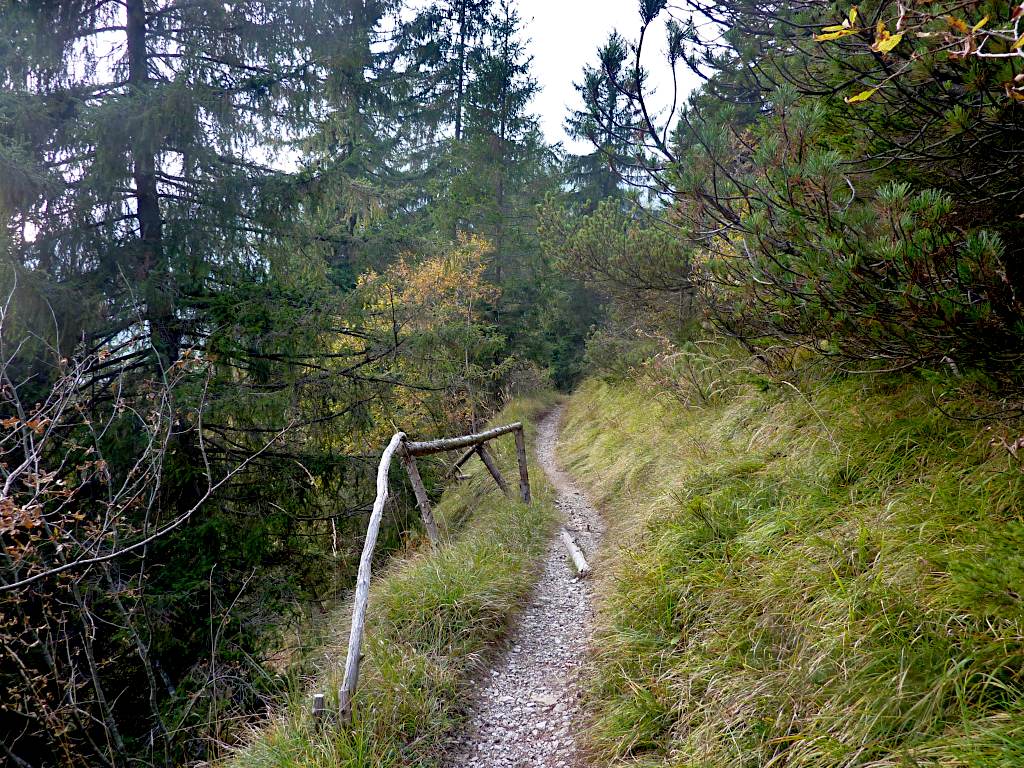 Scendendo da B.ta Bruseda col 320.