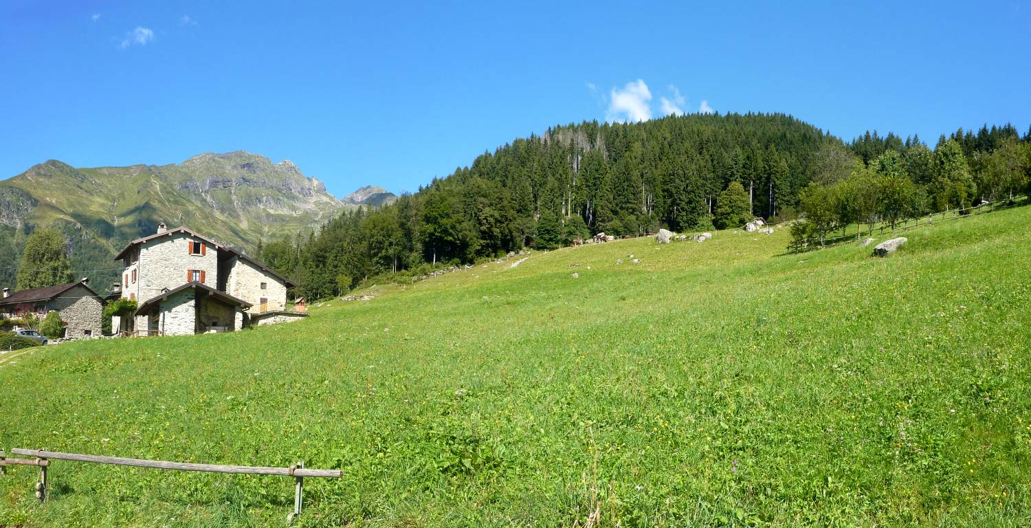 Presso la località Foppa, sul 281/stradina: vista verso ONO.