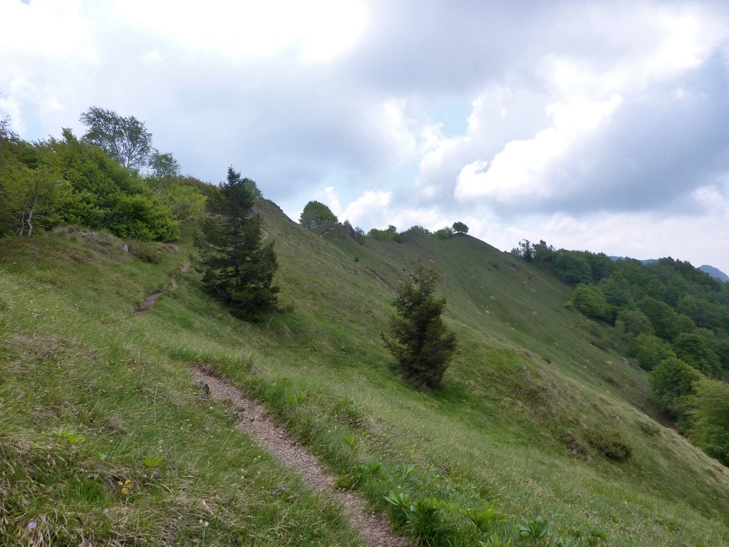 100 m oltre la B.ta di Val di Mafè, il 519C guadagna lo spartiacque: eccolo!