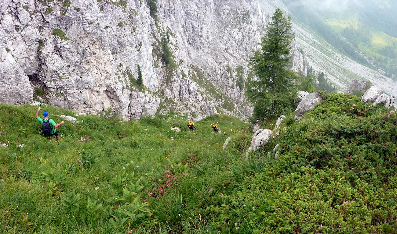 Scendendo dalla Forcella di Varicla sul 423D.