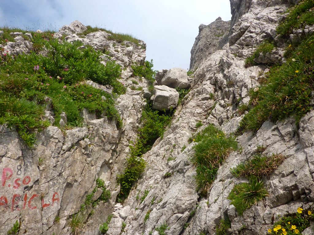 L'accesso bresciano (foto) alla Forcella di Varicla è nettamente meno ostico di quello bergamasco!