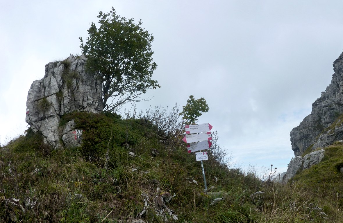 Il 589 termina la sua salita a questa selletta, ivi incrociando il Sentiero delle Creste.