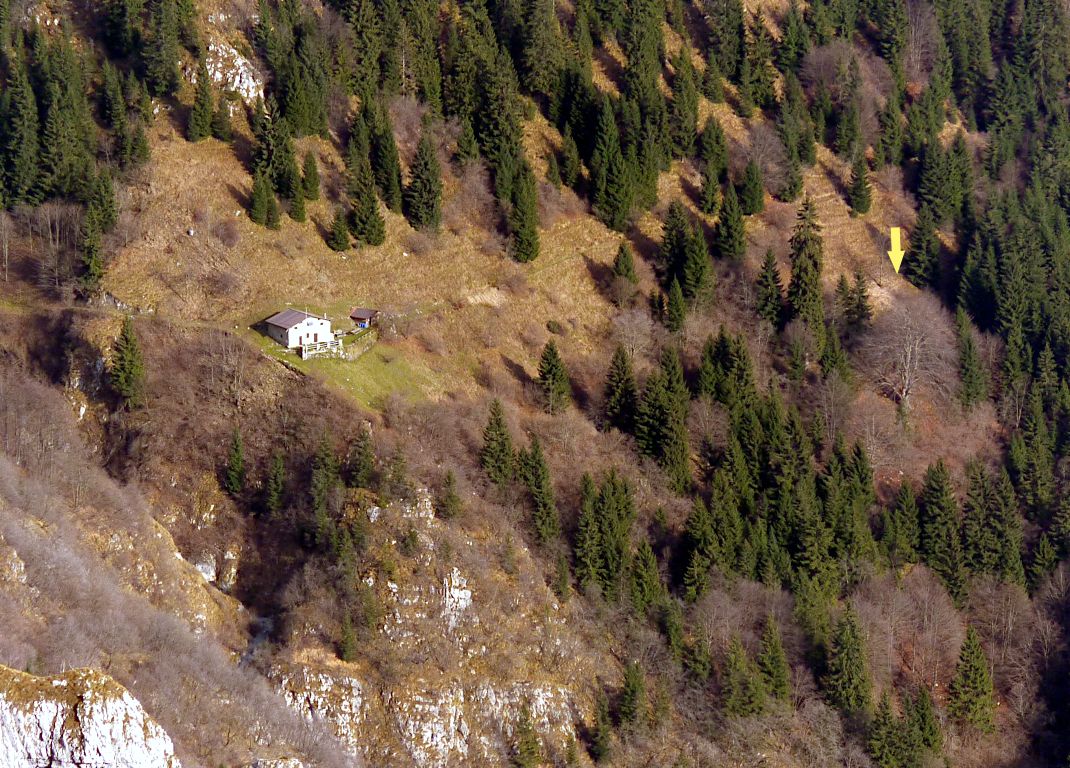 La Baita di sopra e il faggio secolare del 242, dal monte Golla con un 300 mm.