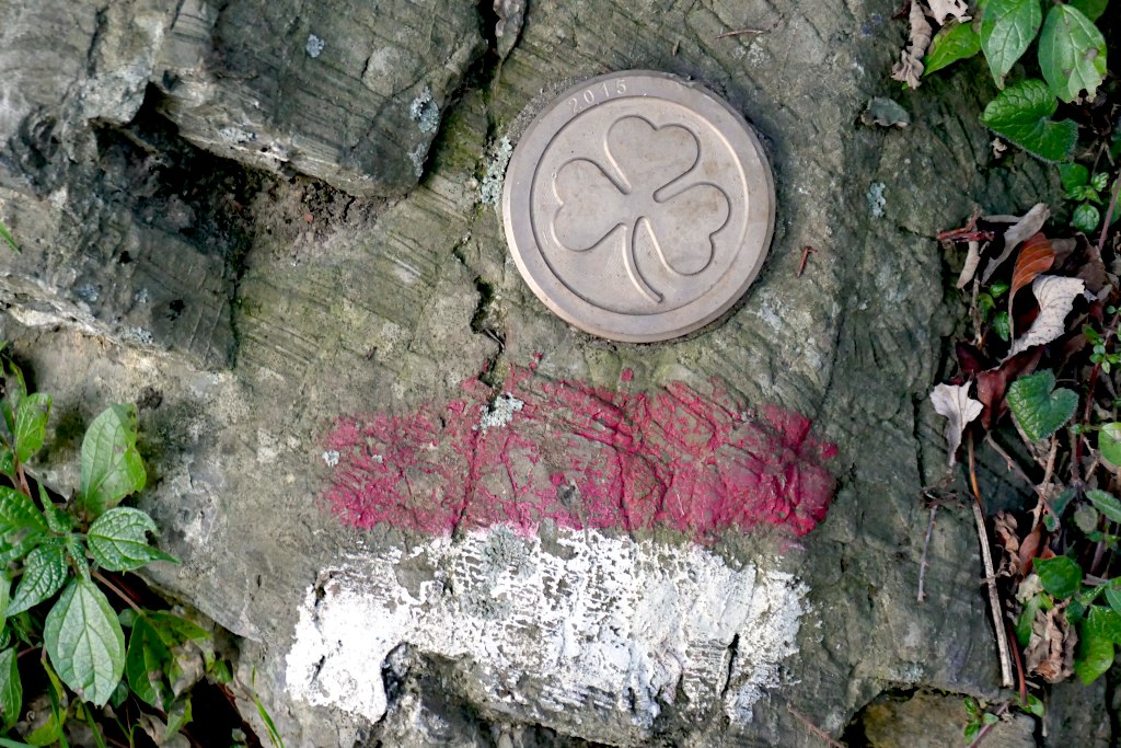 Presso il santuario, ecco il trifoglio, simbolo di San Patrizio e dell'Irlanda.