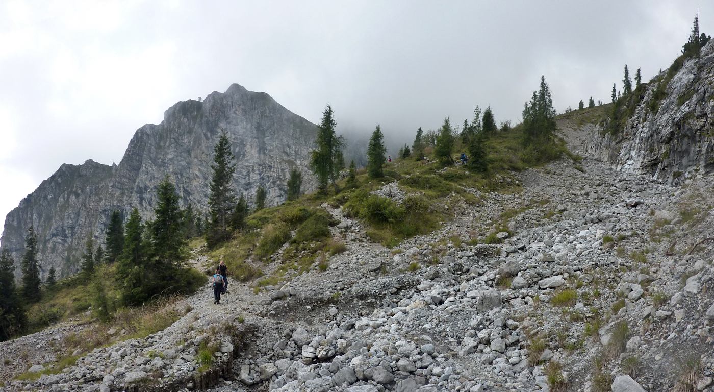 Il 403 sale a incontrare il vicino 401 e l'ormai prossimo Rif. Albani.