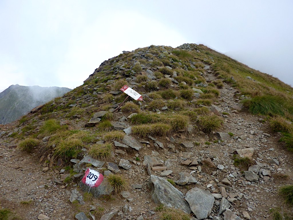 Posto 200 m a E della sella indicata come P.so di Publino, è QUESTO il vero varco per la Valtellina.