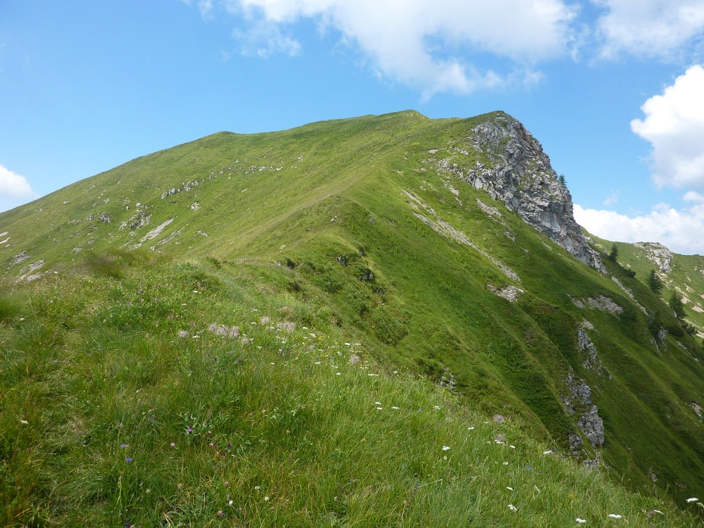 La Cima Benfit alle spalle (dal 314C che scende verso il p.so degli Omini).