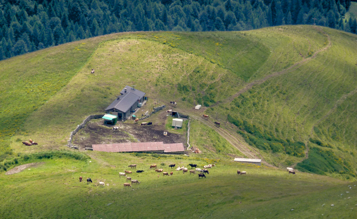 B.ta Verzuda alta, zoomata dal sentierino che, dal p.so degli Omini, procede verso ENE.