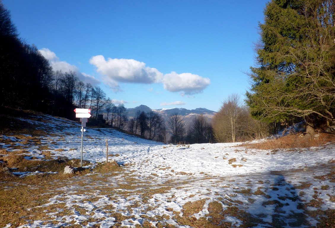 Alla Bocca del Grassello. Vista a nord. Sfondo: a sx M. Sodadura; a dx: M. Aralalta-P.zo Baciamorti.