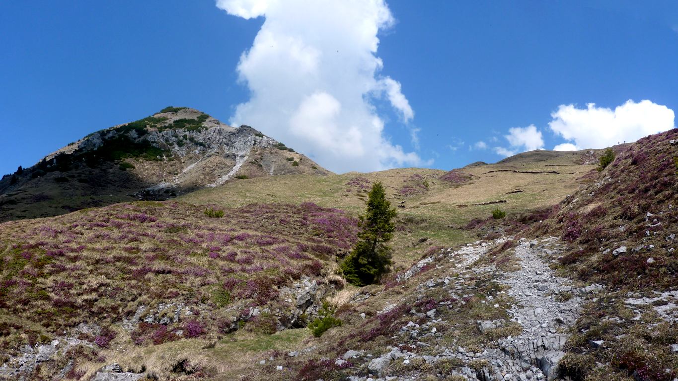 EXTRA (E): salire per traccia dalla Casera Alta sino al p.so del Sodadura.