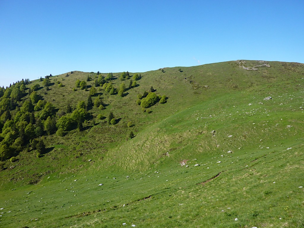 Il piatto crinale della Preda Balaranda visto dal tratto di sentiero tra B.ta Foppelli e "Ol Posù".