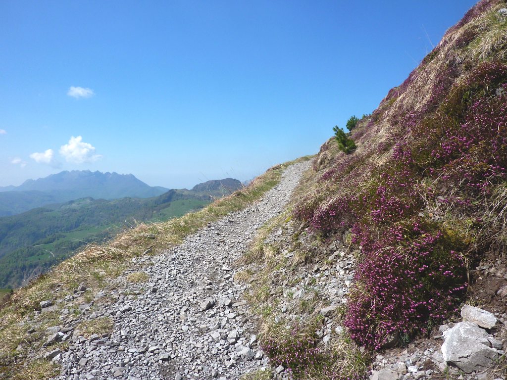 È un sentiero molto bello e panoramico. Ecco laggiù il Resegone che ci saluta.