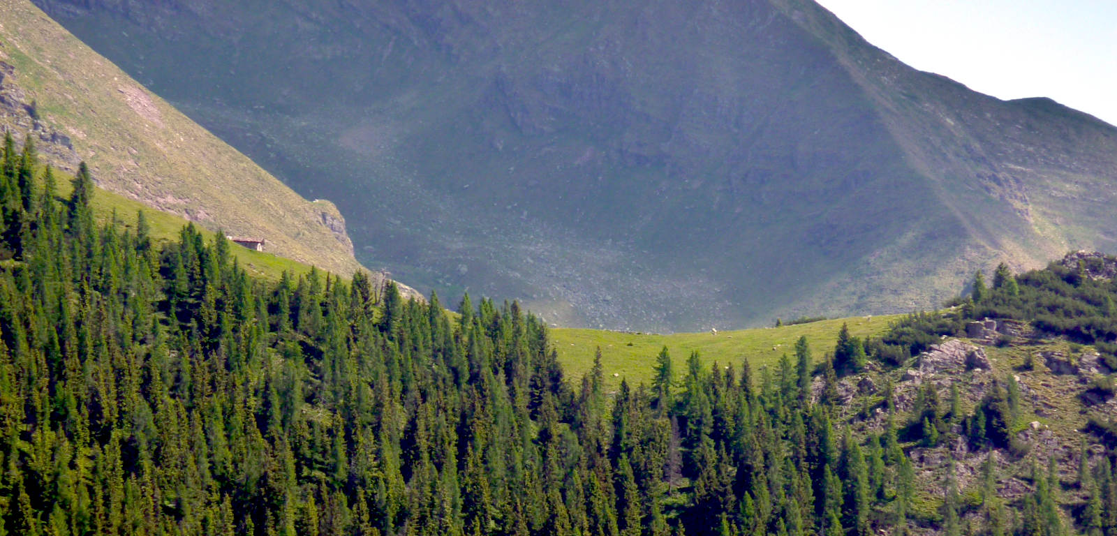 Zoom sulla Forcella di Zulino.