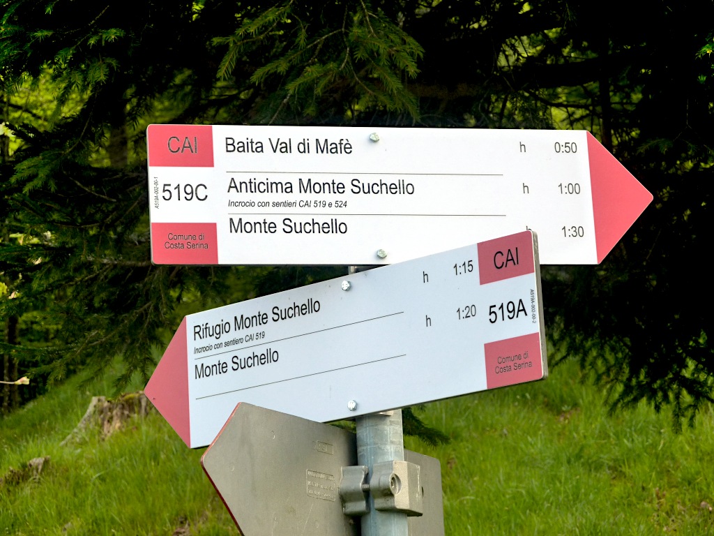 519C e 519A si prestano bene per un giro ad anello che tocchi il M. Suchello e il rifugio.