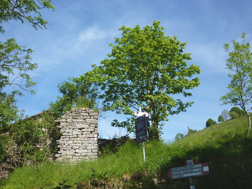 Solo per i prossimi 100 m, 578 e 577 procederanno assieme.