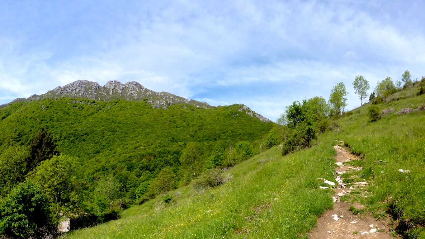 Salendo alla ormai non distante Bocca di Palio. Visibile la vetta del Resegone.