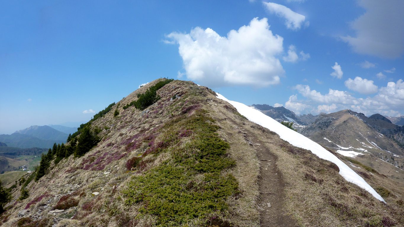 EXTRA (E, 20'): salire dal p.so del Sodadura lungo la cresta E fino alla vetta del M. Sodadura.