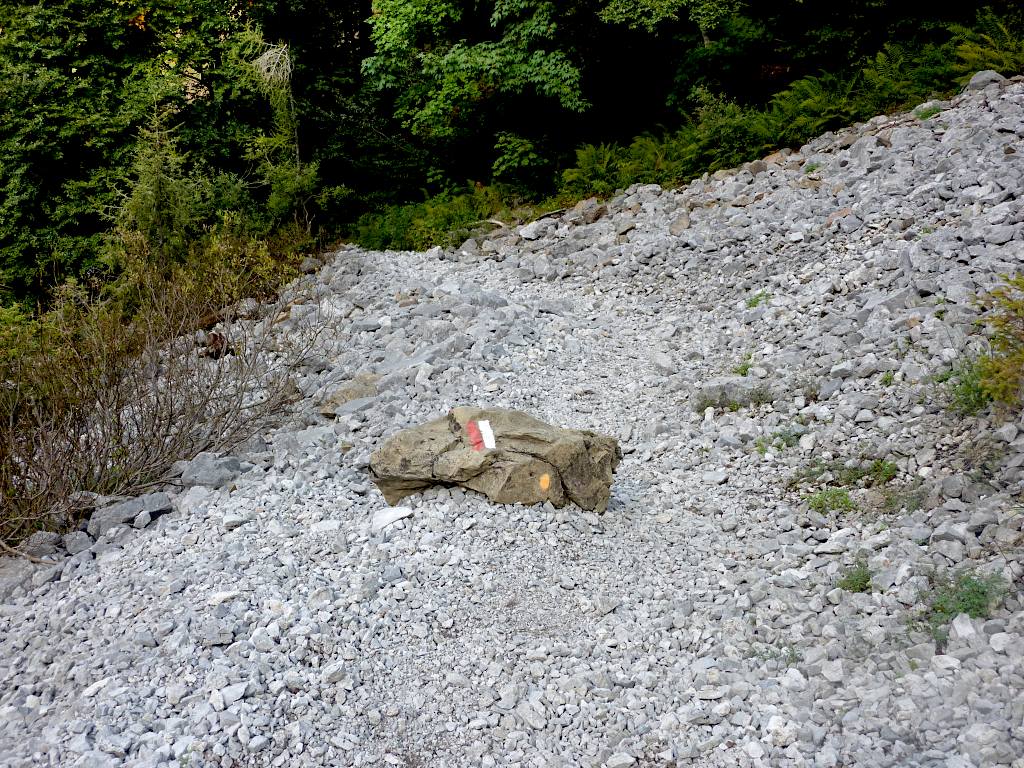 Sul 402 sopra il Pian di Vione. (E tu da dove sbuchi???).