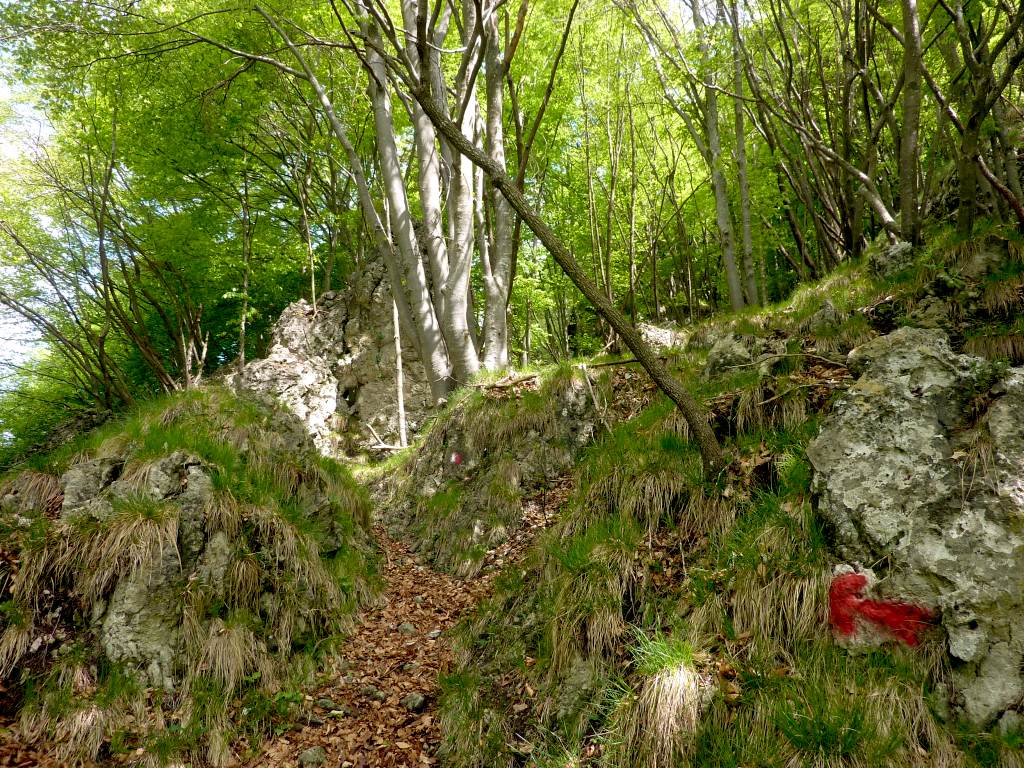 Bolli, freccione, strisce bianco-rosse...