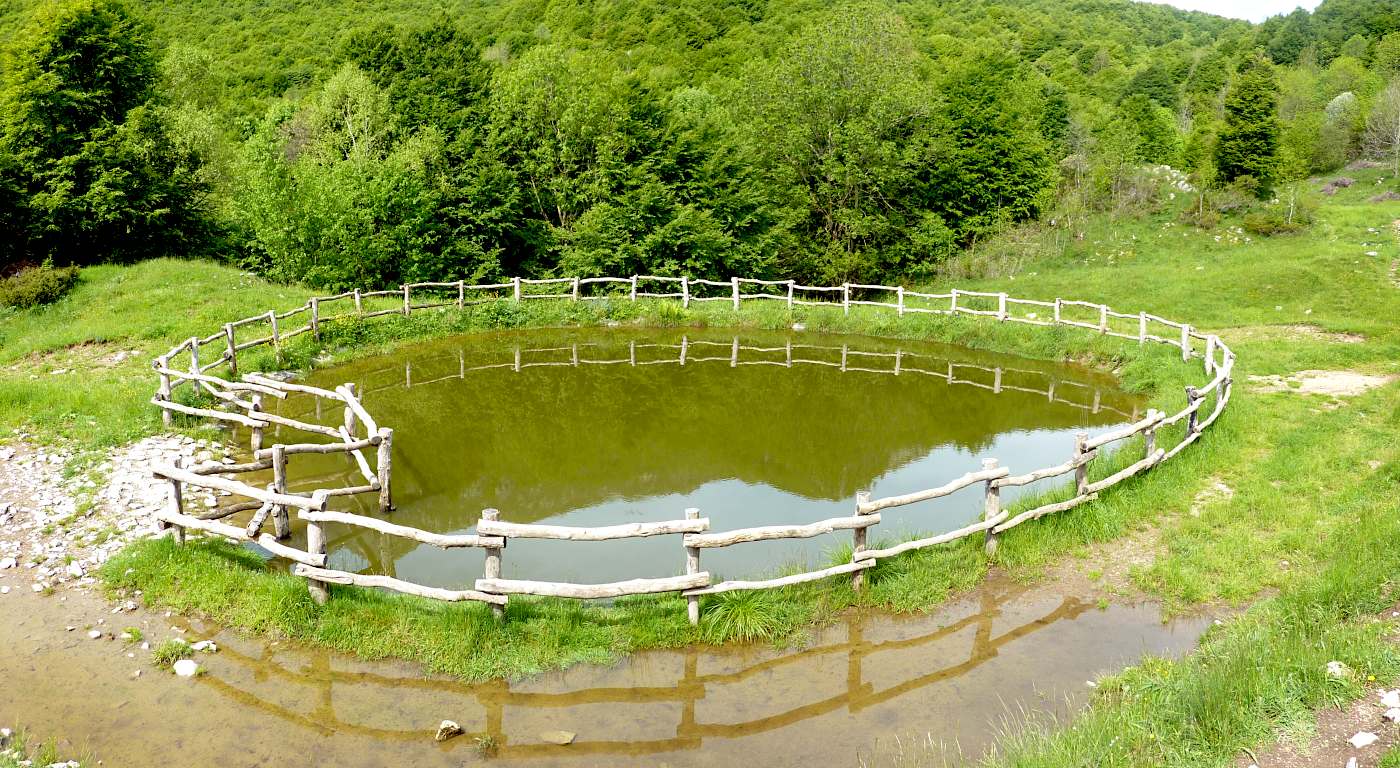 Una delle varie pozze di abbeverata poste sul 578 tra il Grande Faggio e la Bocca di Palio.