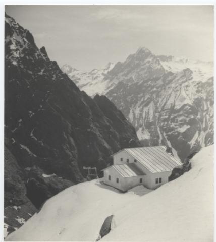 Coca Rifugio