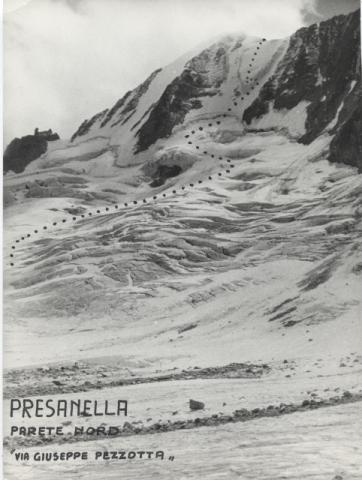 Presanella