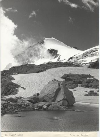 Adamello - Carè Alto