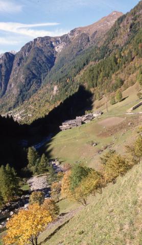 Pagliari: la memoria nella pietra