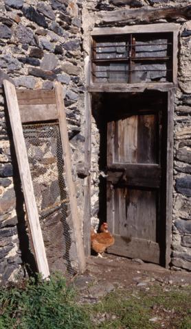 Pagliari: la memoria nella pietra