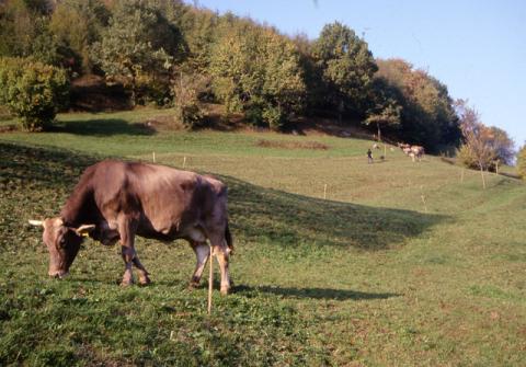 Tour ad Alino (S.Pellegrino Terme)