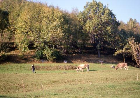 Tour ad Alino (S.Pellegrino Terme)