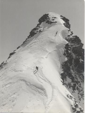 Monte Rosa