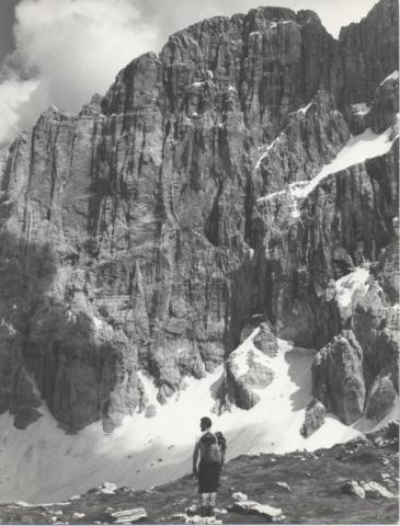 Dolomiti