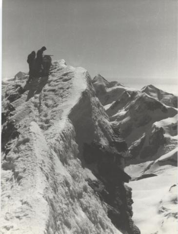 Cervino