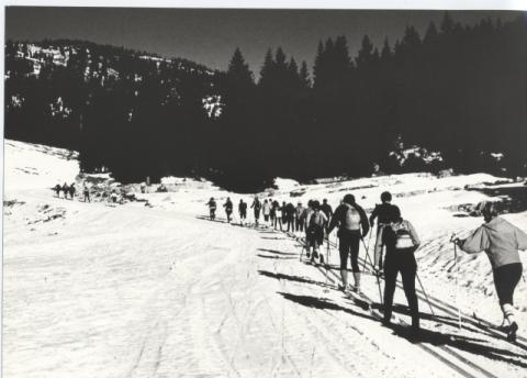 Altopiano di Asiago