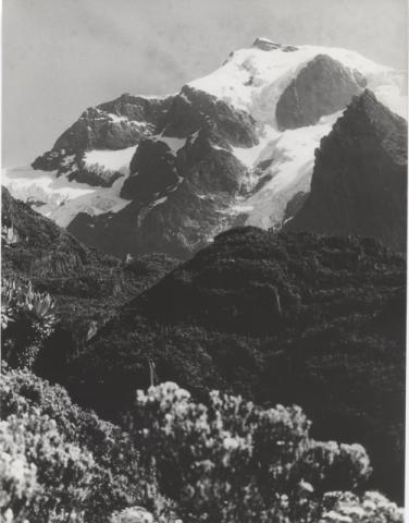 Ruwenzori