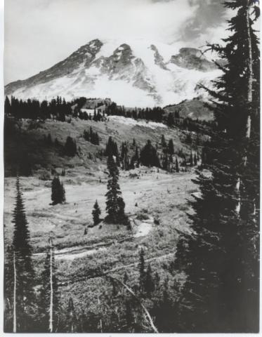 Monte Rainier