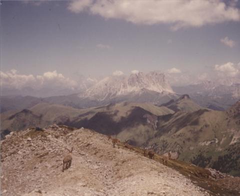 Dolomiti