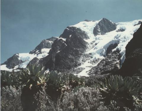 Ruwenzori