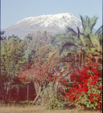 Kilimangiaro