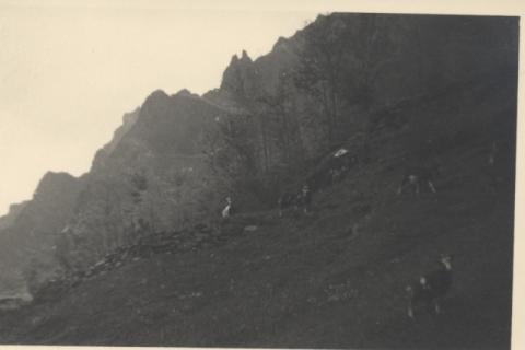 Zona Rifugio Curò