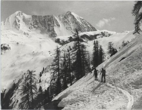 Gruppo Adamello - Presanella