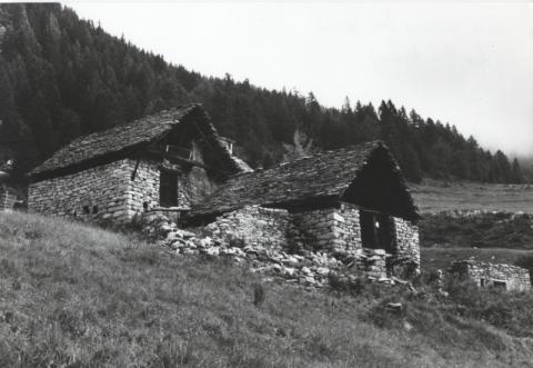 Architettura alpina