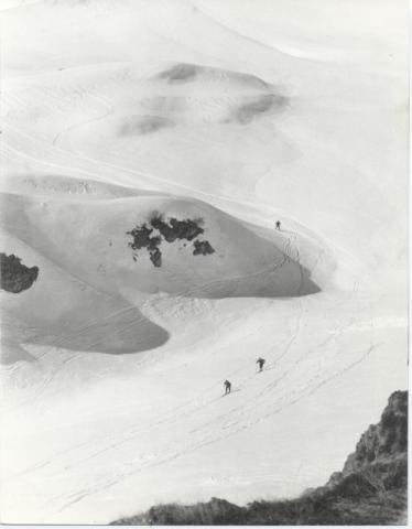 Trofeo Parravicini 1965