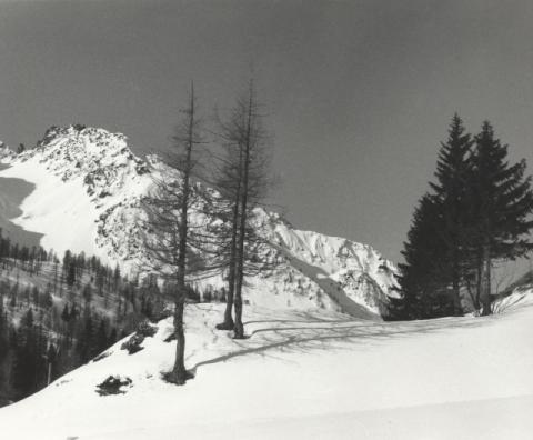 Trofeo Parravicini 1985