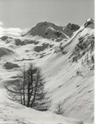 Trofeo Parravicini 1985