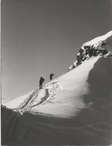 Trofeo Parravicini 1969