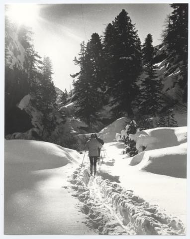 Sci di fondo in Engadina