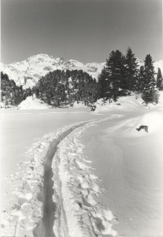 Sci di fondo in Engadina
